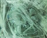 新玉ねぎと海老のオーロラソース炒め作り方3写真
