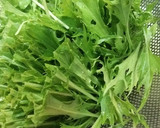 水菜とみょうがのアジアンサラダ作り方3写真