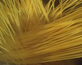 旨味の〜和風パスタ♪作り方4写真