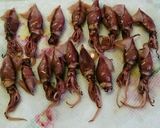 ホタルイカの真っ黒パスタ作り方4写真