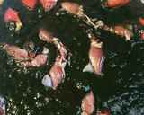 ホタルイカの真っ黒パスタ作り方9写真