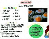 生おからde小豆お好み焼き作り方2写真