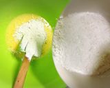 簡単グレープフルーツケーキ作り方5写真