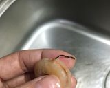 えびとキャベツのペペロンチーノ。作り方2写真
