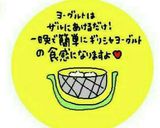 簡単もっちり★水切りヨーグルト作り方1写真