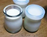 簡単ぷるぷる牛乳ぷりん作り方5写真