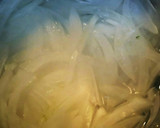 さっぱり簡単★まぐろの野菜たっぷりサラダ作り方1写真