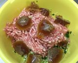 溢れる肉汁！春巻きの皮de棒餃子&餃子作り方5写真