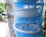 京番茶　茶摘みをした茶葉で作り方3写真