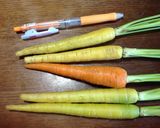 ズッキーニがあったのでラタトゥイユ風煮物作り方1写真