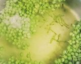 手作りの調味料3 実山椒の醤油漬け作り方3写真