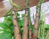 ハチク（淡竹）と霜降りシメジの味噌汁作り方1写真