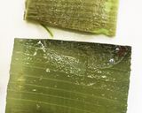 不思議食感 アロエベラのお刺身作り方5写真