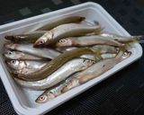わかさぎの甘露煮作り方1写真