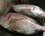 鯛飯作り方2写真