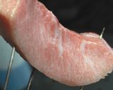 おろしレモンで炙りマグロ作り方6写真
