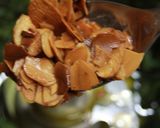 ヨーグルトソースのグリルポテト作り方12写真