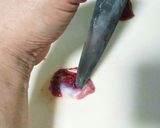 肉屋さん簡単鶏砂ずり捌き方作り方2写真