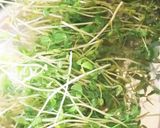つゆだく～♪簡単！豆苗と天かすの卵とじ作り方2写真