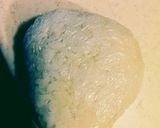キャラ弁　ゴマちゃん　簡単♪作り方3写真