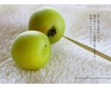 三岳を使った、芋焼酎梅酒作り方2写真
