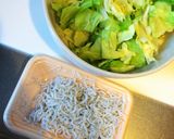 材料3つ♡簡単しらすとキャベツのおひたし作り方4写真