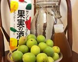 梅酒好き直伝(・ω・)蜂蜜ブランデー梅酒作り方1写真