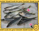 豆鯵のカレー風味♦南蛮漬け >゜)))彡作り方1写真
