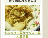 やみつき白菜サラダ☆白菜大量消費作り方11写真