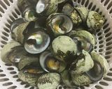 簡単 しったか貝（ニナ貝）の塩茹で作り方5写真