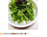 簡単✿水菜サラダ作り方8写真