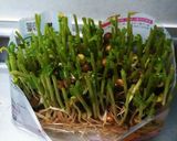 時間も費用も節約 豆苗サラダ作り方1写真