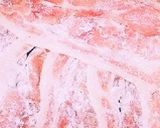 覚え書き　みきママ　どでか肉巻きおにぎり作り方7写真