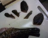 魚を捌こう!カサゴの刺身編作り方4写真