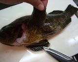 魚を捌こう!カサゴの刺身編作り方3写真