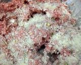 ラム肉の行者ニンニク入りチーズハンバーグ作り方1写真