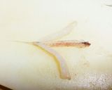 ガッチョの唐揚げ(さばき方あり)作り方6写真
