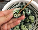 簡単 しったか貝（ニナ貝）の塩茹で作り方7写真