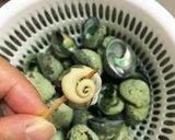 簡単 しったか貝（ニナ貝）の塩茹で作り方8写真