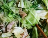 鳥モモとキャベツのさっぱり塩ダレ炒め作り方3写真