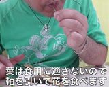 アカシアの花の天ぷら作り方8写真