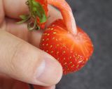 ストローで超かんたんないちごの飾り切り！作り方10写真