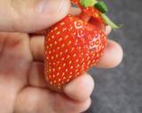 ストローで超かんたんないちごの飾り切り！作り方8写真