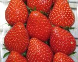 ストローで超かんたんないちごの飾り切り！作り方2写真