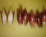 カブと新生姜とみょうがの甘酢漬け作り方6写真