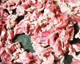 しそと豚肉と玉ねぎのさっぱり炒め作り方3写真