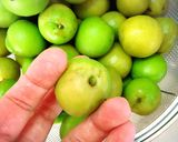 お塩と梅の実で。自家製梅干し作り方4写真