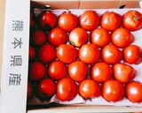 完熟トマトで作る便利なトマトソース作り方1写真