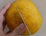 夏みかんシャーベット作り方1写真