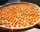 本物の梅干し食べよ！塩分10%小梅編作り方19写真
